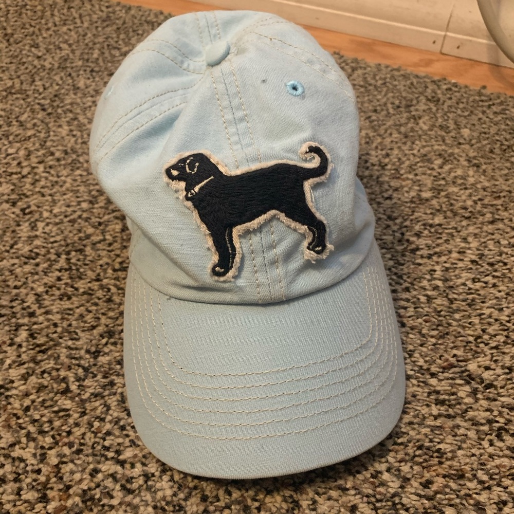 Light blue black dog hat
